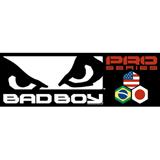 Bad Boy MMA Banner